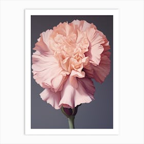 Floral Illustration Carnation Dianthus 4 Art Print