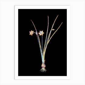 Stained Glass Daffodil Mosaic Botanical Illustration on Black n.0104 Art Print