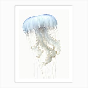 Irukandji Jellyfish Simple Watercolour 5 Art Print