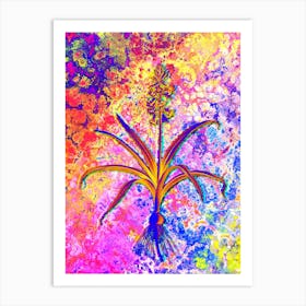 Scilla Patula Botanical in Acid Neon Pink Green and Blue n.0300 Art Print