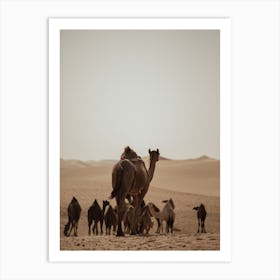 Caravan of Camels mom - Al Wathba Abu Dhabi UAE photo print - moody animal photography art Art Print Art Print