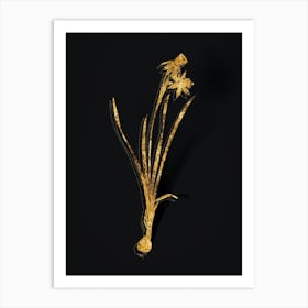 Vintage Narcissus Calathinus Botanical in Gold on Black n.0264 Art Print