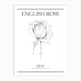 English Rose Dew Line Drawing 3 Poster Art Print