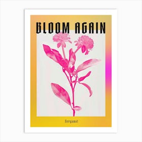 Hot Pink Bergamot Poster Art Print