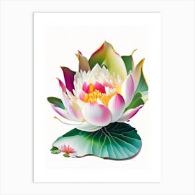 Amur Lotus Decoupage 2 Art Print