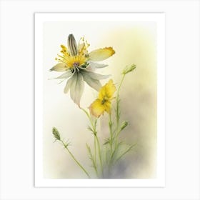 Thimbleweed Wildflower Watercolour Art Print