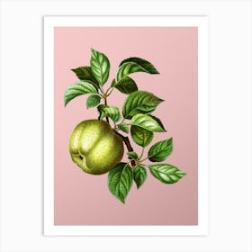 Vintage Apple Botanical on Soft Pink n.0686 Art Print