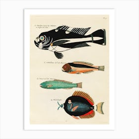 Colourful And Surreal Illustrations Of Fishes Found In Moluccas (Indonesia) And The East Indies, Louis Renard(12) Art Print