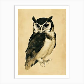 Spectacled Owl Vintage Illustration 2 Art Print