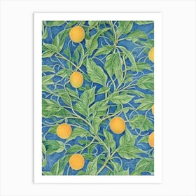 Mango Vintage Botanical Fruit Art Print