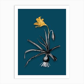 Vintage Amaryllis Broussonetii Black and White Gold Leaf Floral Art on Teal Blue n.0759 Art Print