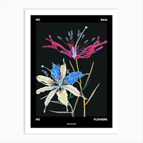 No Rain No Flowers Poster Love In A Mist Nigella 3 Art Print