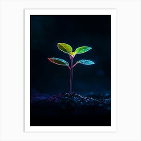 Young Plant In The Dark 8 Art Print