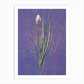 Vintage Siberian Iris Botanical Illustration on Veri Peri n.0554 Art Print