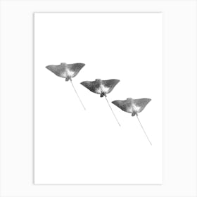 Spotted Eagle Ray Black and White Abstract Minimalist Boho Marine Life Art Print Art Print