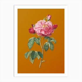 Vintage Duchess of Orleans Rose Botanical on Sunset Orange n.0281 Art Print