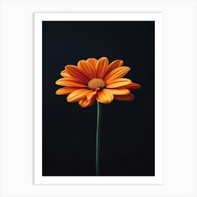 Gerbera Daisy 6 Art Print