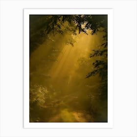 Sunbeams In The Forest 5 Art Print