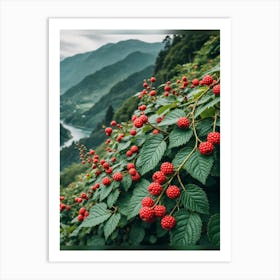 Raspberries  Art Print