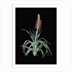 Vintage Pina Cortadora Botanical Illustration on Solid Black n.0110 Art Print