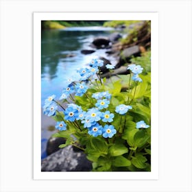 Forget Me Not At The River Bank (1) Art Print