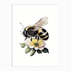 Bumblebee 4 Vintage Art Print