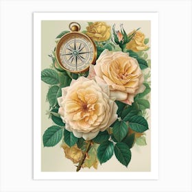English Roses Painting Rose With A Compass 1 Art Print