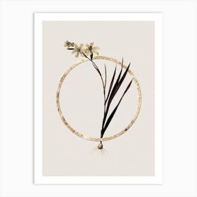 Gold Ring Gladiolus Glitter Botanical Illustration n.0270 Art Print