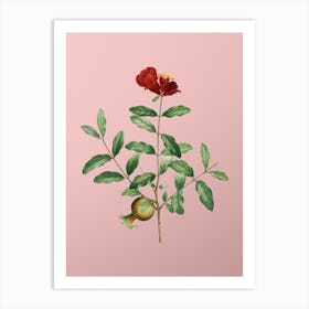 Vintage Pomegranate Branch Botanical on Soft Pink n.0782 Art Print