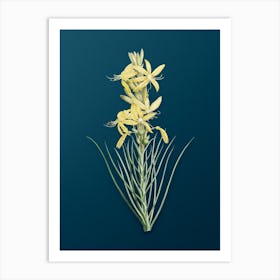 Vintage Yellow Asphodel Botanical Art on Teal Blue n.0095 Art Print
