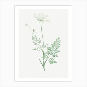 Wild Carrot from La Botanique de J. J. Rousseau, Pierre Joseph Redoute Art Print