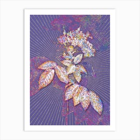 Geometric Boursault Rose Mosaic Botanical Art on Veri Peri n.0004 Art Print