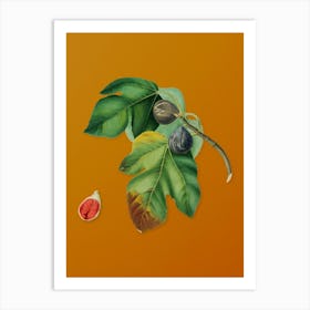 Vintage Fig Botanical on Sunset Orange n.0587 Art Print