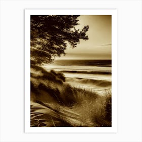 Sand Dunes 4 Art Print