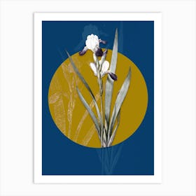 Vintage Botanical Tall Bearded Iris on Circle Yellow on Blue 1 Art Print