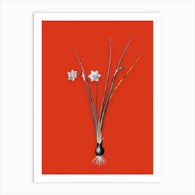 Vintage Daffodil Black and White Gold Leaf Floral Art on Tomato Red Art Print