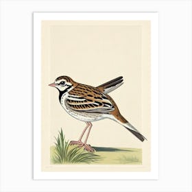 Lark Illustration Bird Art Print