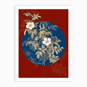 Vintage Botanical Musk Rose on Circle Blue on Red n.0139 Art Print