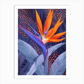 Bird Of Paradise 56 Art Print