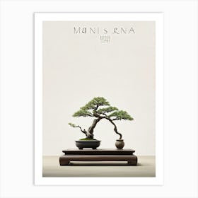 Bonsai Tree Centers Composition Minimalist Aesthetic Neutral Toned Backdrop Soft Shadows Dancing Art Print