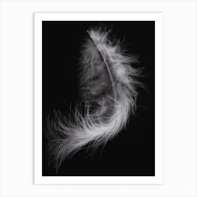 Black And White Feather 4 Art Print