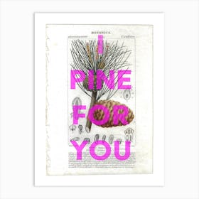 I Pine For You Vintage Pine Cone Art Print