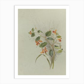 Drawing Of A Flower Art Print