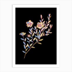 Stained Glass Vintage Rosa Persica Mosaic Botanical Illustration on Black n.0137 Art Print