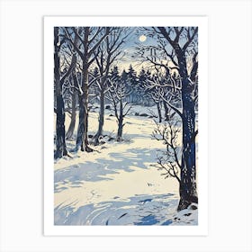 Winter'S Night Art Print