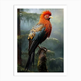 Winged Wonders: Andean Jungle Bird Decor Art Print