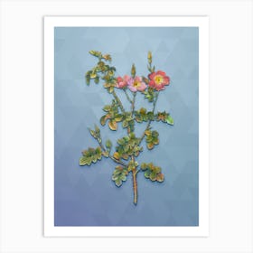 Vintage Prickly Sweetbriar Rose Botanical Art on Summer Song Blue n.1768 Art Print