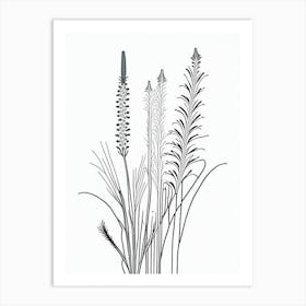 Horsetail Herb William Morris Inspired Line Drawing 2 Art Print