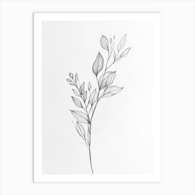 Drawing Of A Leaf 3 Art Print