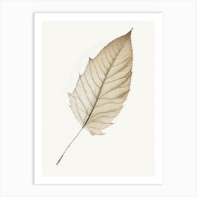 Birch Leaf Illustration Art Print